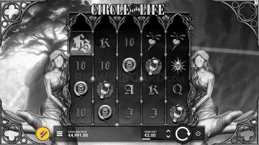 Live Dealer Experience